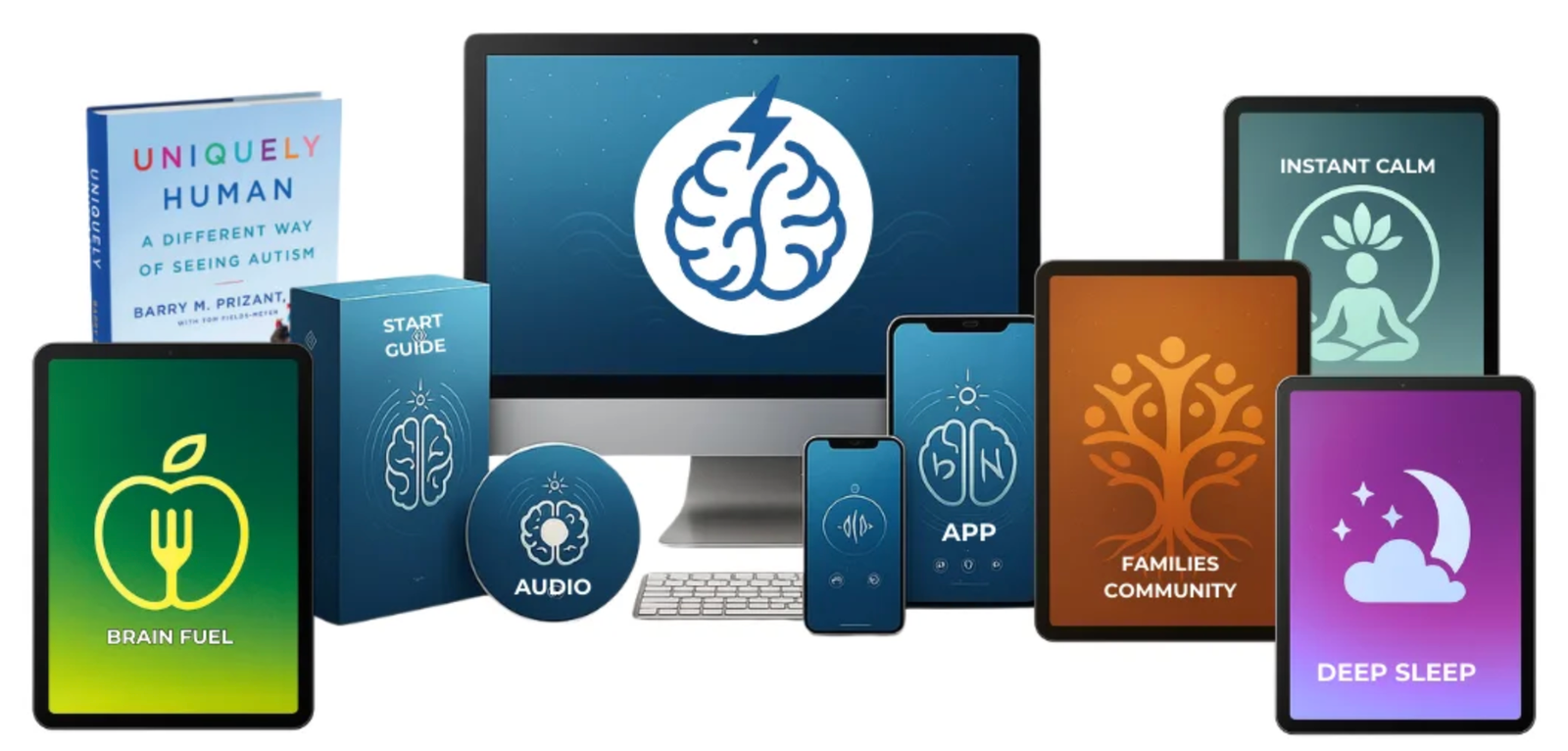 Everything included in the program